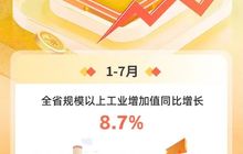 2025年1-7月福建经济运行情况