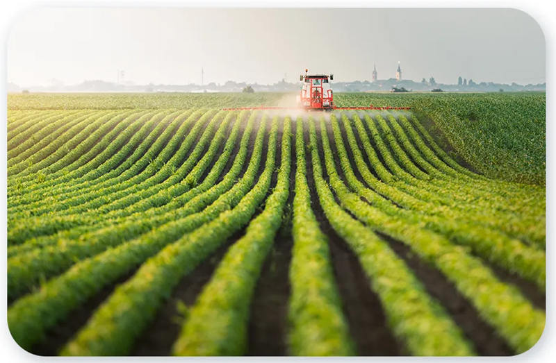 1756388455658161.jpg 微信图片_2025-08-28_213726_913_副本.jpg