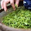 福建省茶产业全产业链产值突破1700亿元