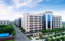 2024年我国对共建“一带一路”国家直接投资同比增长超两成