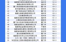 2025福建省民营企业100强榜单