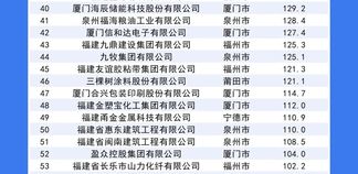 2025福建省民营企业100强榜单