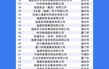 2025福建省制造业民营企业100强榜单