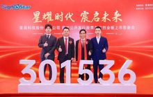 莆田老板携AI芯片冲刺A+H股，市值超200亿