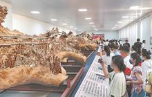 莆田木雕“刻活”京杭大运河