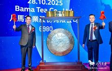 香江钟响,茶业破局:八马茶业问鼎“高端中国茶第一股”