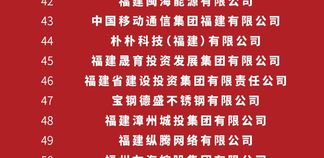 2025福建企业100强榜单发布