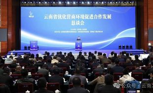 与云南双向奔赴  共享发展新机遇——云南省福建总商会受邀参加云南省优化营商环境促进合作发展恳谈会