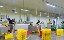 從“種源引進(jìn)”到“種源輸出” ---圣澤生物與烏茲別克斯坦農(nóng)業(yè)集群公司簽訂祖代種苗出口協(xié)議