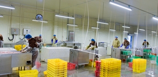 從“種源引進(jìn)”到“種源輸出” ---圣澤生物與烏茲別克斯坦農(nóng)業(yè)集群公司簽訂祖代種苗出口協(xié)議