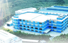 龙竹科技年报里的“彩蛋”:一家竹菜板公司,让竹子飞上了天