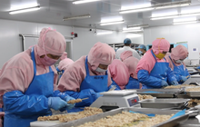 圣农:创新与共富的土壤里 “民企带村”拔节生长