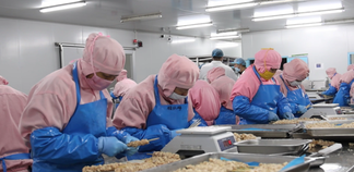 圣农:创新与共富的土壤里 “民企带村”拔节生长