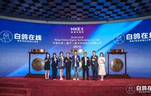 暴涨368%、每手赚超1.1万港元！白鸽在线登陆港交所，永春人涂锦波敲钟