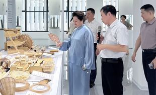 深南携手促振兴 政企对接谋共赢 ▏深圳市福建南平商会组织企业家返乡开展武夷百村商务考察
