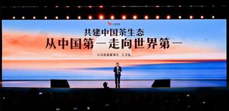 王文礼的“世界第一”茶梦:八马茶业半年营收预计超13.82亿,净利增超60%