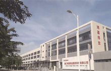 厦门“90后”女掌门，从前台行政做起，把碳纤维卖进奥运会，做到全球四分之一