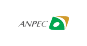 ANPEC集成电路设计公司