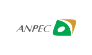 ANPEC集成電路設計公司