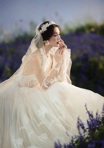 梦幻罗兰/Dreamy Violet