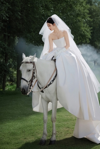 森林故事/Forest Stories