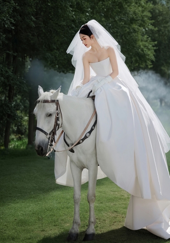 森林故事/Forest Stories