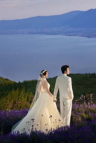 梦幻罗兰/Dreamy Violet