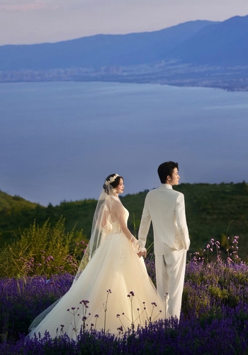 梦幻罗兰/Dreamy Violet