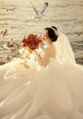 日出系列 - 《晨微》