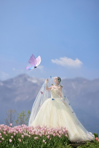 雪山蝶舞/Snow mountain