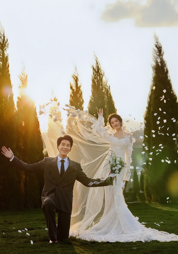 日出系列 - 《森屿》