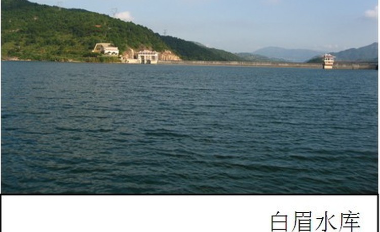 公司简介