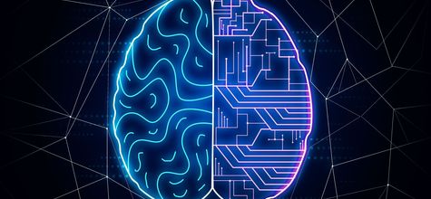 人脑类器官准确模拟孤独症 为治疗最复杂脑疾病带来希望