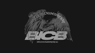 BICB VOL.7